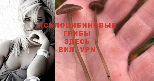 прущий лед Аркадак