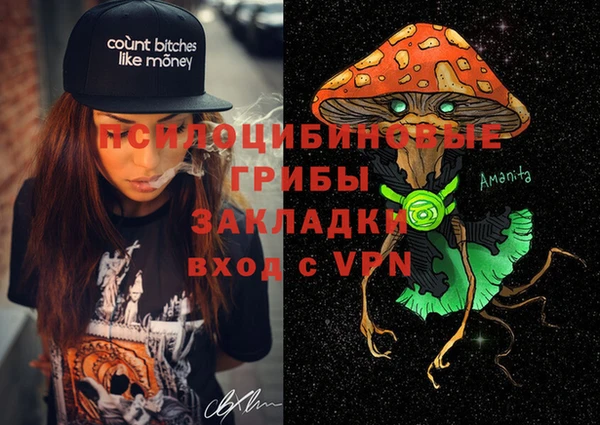 прущий лед Аркадак