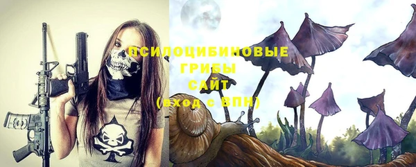 прущий лед Аркадак